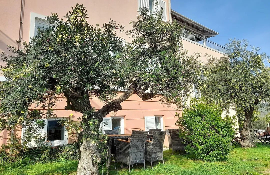 Hotel Kozana-1